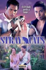 Watch Stray Cats Vumoo