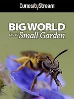 Watch Big World in a Small Garden (TV Short 2016) Vumoo