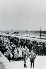 Watch AUSCHWITZ: SURPRISING BEGINNINGS Vumoo