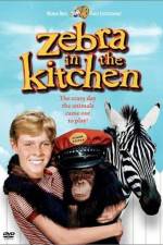 Watch Zebra in the Kitchen Vumoo