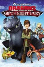 Watch Dragons Gift of the Night Fury Vumoo