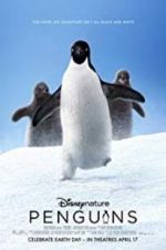 Watch Penguins Vumoo