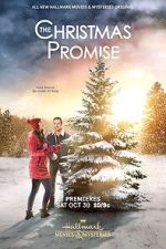 Watch The Christmas Promise Vumoo
