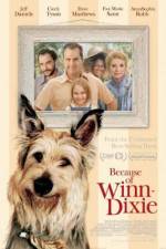 Watch Because of Winn-Dixie Vumoo