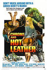 Watch Chrome and Hot Leather Vumoo