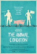 Watch The Animal Condition Vumoo