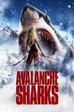 Watch Avalanche Sharks Vumoo