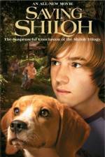 Watch Saving Shiloh Vumoo