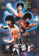 Watch The Clones of Bruce Lee Vumoo