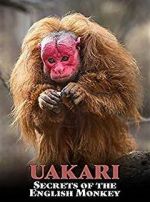 Watch Uakari: Secrets of the English Monkey Vumoo