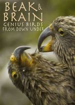 Watch Beak & Brain - Genius Birds from Down Under Vumoo