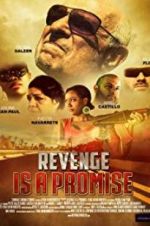 Watch Revenge Is a Promise Vumoo