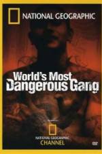 Watch National Geographic World's Most Dangerous Gang Vumoo
