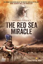 Watch Patterns of Evidence: The Red Sea Miracle Vumoo