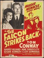 Watch The Falcon Strikes Back Vumoo