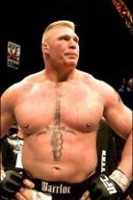 Watch Brock Lesnar 7 Fights Vumoo