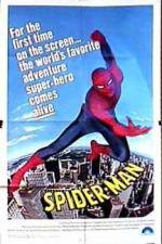Watch "The Amazing Spider-Man" Pilot Vumoo