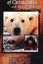 Watch The Polar Bears of Churchill with Ewan McGregor Vumoo