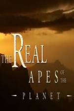 Watch The Real Apes of the Planet Vumoo