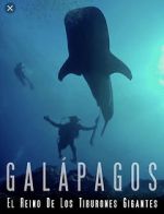 Watch Galapagos: Realm of Giant Sharks Vumoo