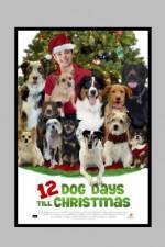Watch 12 Dog Days of Christmas Vumoo