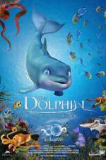 Watch The Dolphin Story of a Dreamer Vumoo