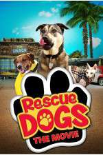 Watch Rescue Dogs Vumoo