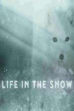 Watch Life in the Snow Vumoo