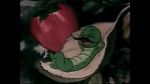 Watch The Wacky Worm (Short 1941) Vumoo