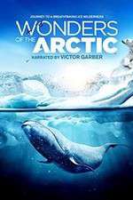 Watch Wonders of the Arctic 3D Vumoo