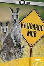 Watch Kangaroo Mob Vumoo