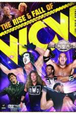 Watch WWE The Rise and Fall of WCW Vumoo