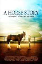 Watch A Horse Story Vumoo
