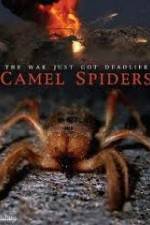 Watch Camel Spiders Vumoo