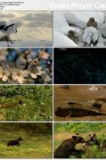 Watch National Geographic: Japans Hidden Secrets Vumoo
