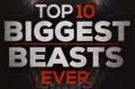 Watch Top 10 Biggest Beasts Ever Vumoo