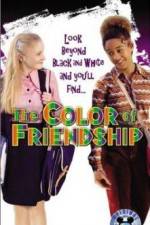 Watch The Color of Friendship Vumoo