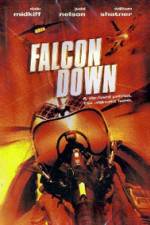 Watch Falcon Down Vumoo