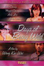 Watch Days of Being Wild Vumoo