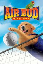 Watch Air Bud: Spikes Back Vumoo