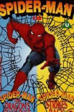 Watch Spider-Man The Dragon's Challenge Vumoo