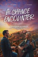 Watch A Chance Encounter Vumoo