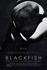 Watch Blackfish Vumoo