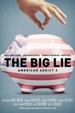 Watch American Addict 2 The Big Lie Vumoo