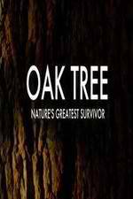 Watch Oak Tree Natures Greatest Survivor Vumoo