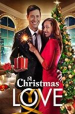 Watch A Christmas Love Vumoo