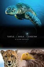 Watch Turtle, Eagle, Cheetah: A Slow Odyssey Vumoo