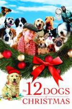 Watch The 12 Dogs of Christmas Vumoo