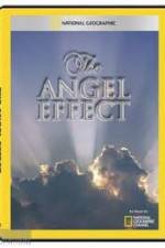 Watch National Geographic Explorer - The Angel Effect Vumoo