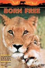 Watch Born Free Vumoo